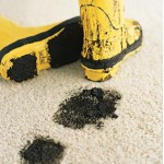 carpet_spot_clean_inspector